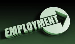 employment services, job placement agency